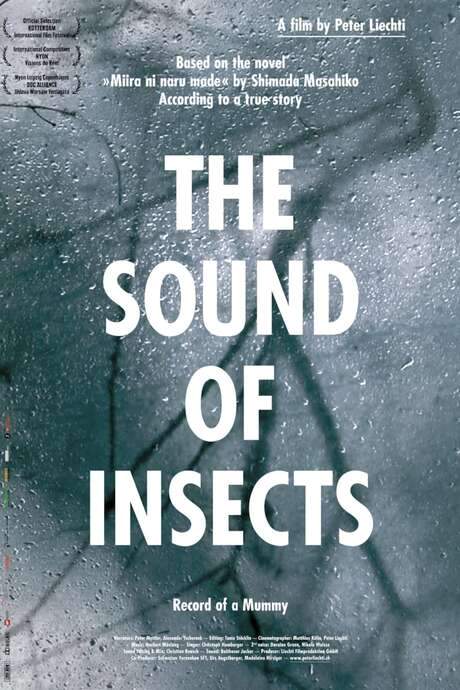 The Sound of Insects: Record of a Mummy